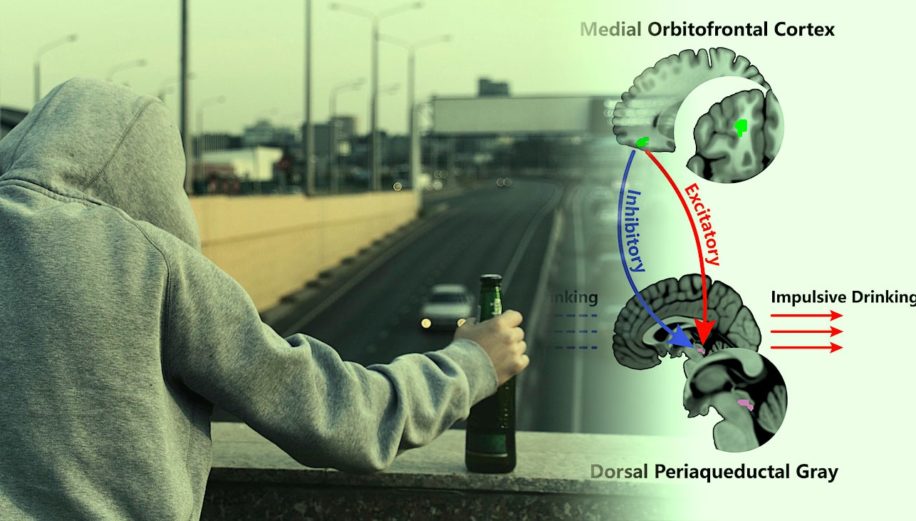 identification potentielle origine neuronale alcoolisme