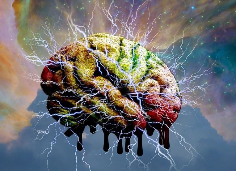 lsd libere cerveau contraintes anatomiques couv
