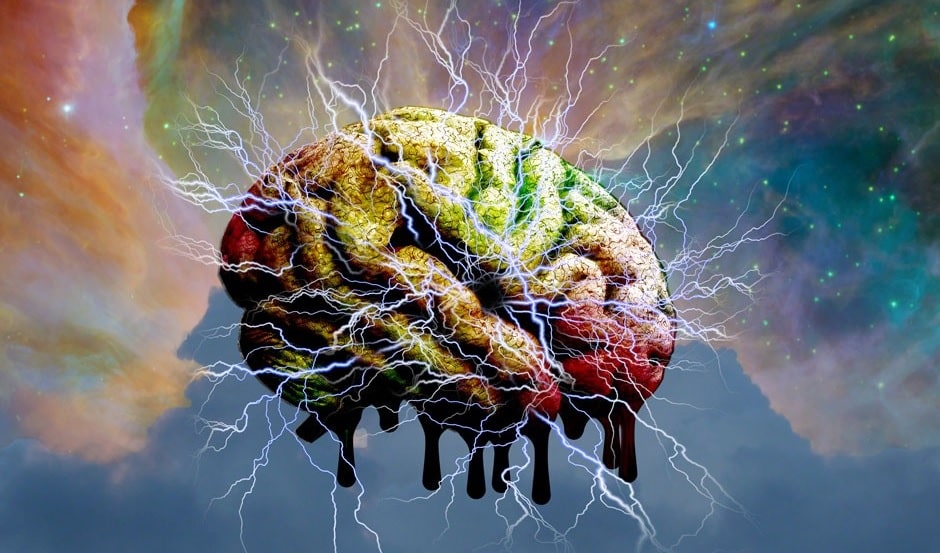 lsd libere cerveau contraintes anatomiques couv