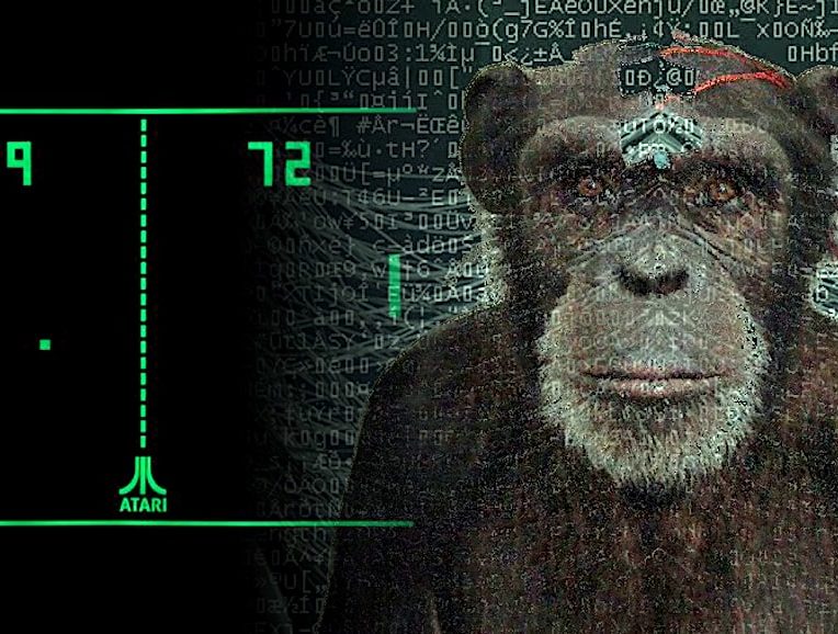 neuralink singe joue jeux video avec pensee
