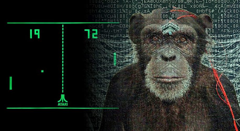 neuralink singe joue jeux video avec pensee