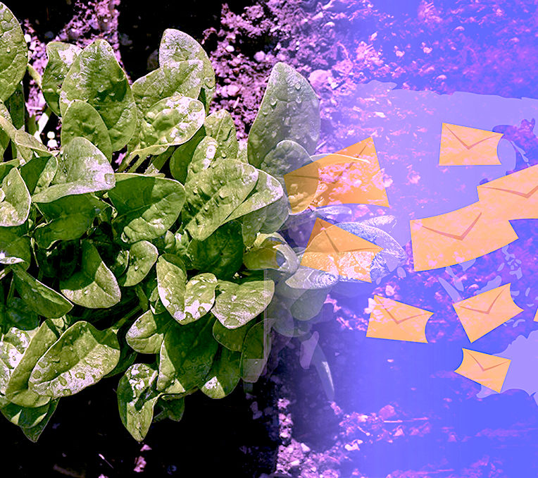 plants epinards envoient mails detection explosifs