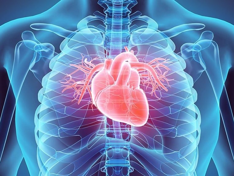 pourquoi cancer coeur est extrememement rare