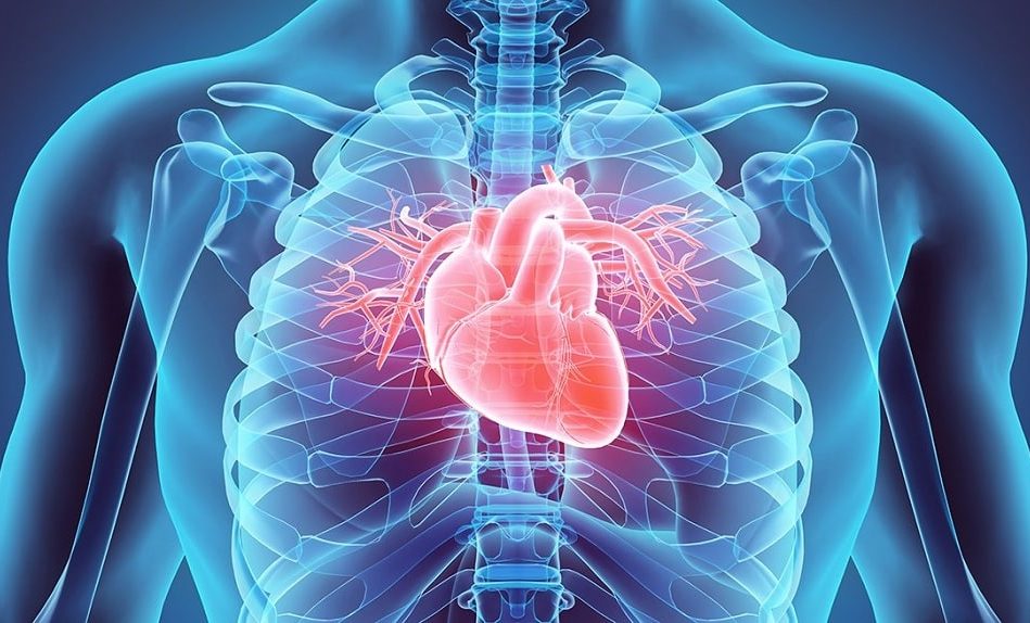 pourquoi cancer coeur est extrememement rare