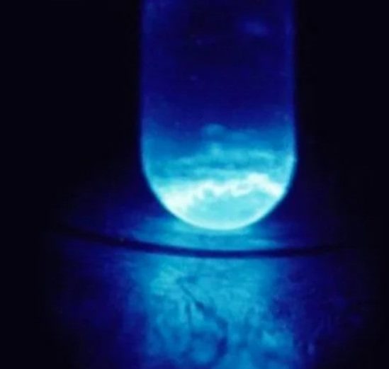 première mesures einsteinium