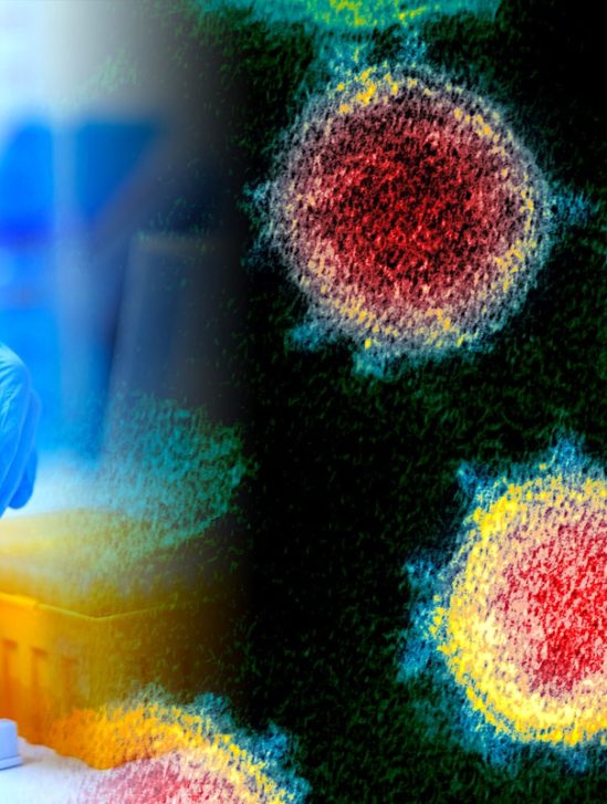 vaccin universel coronavirus essais cliniques prevus cette annee
