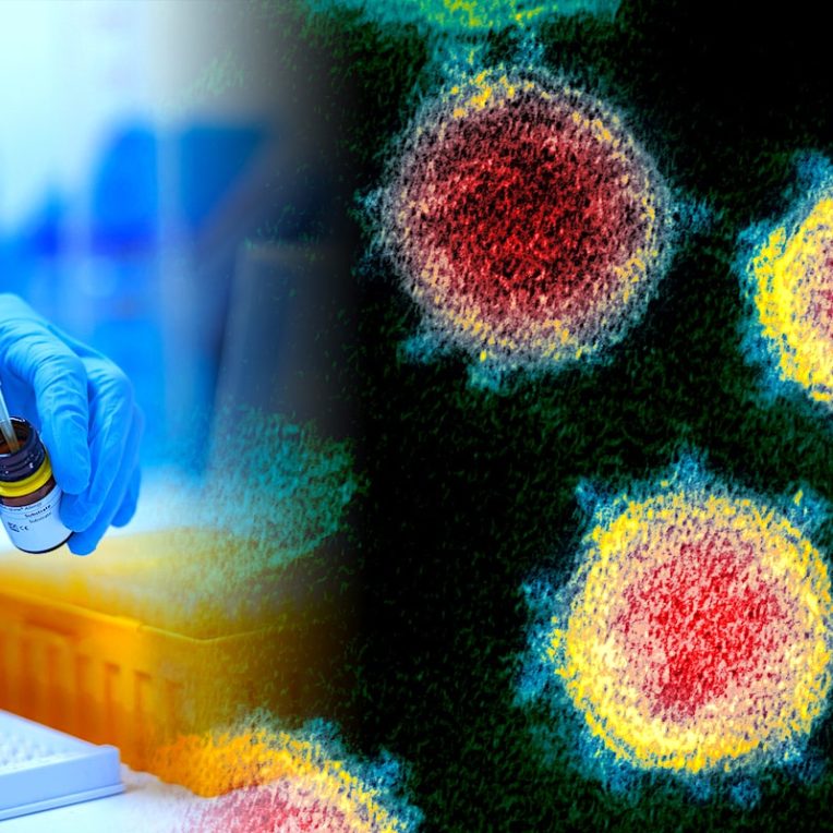 vaccin universel coronavirus essais cliniques prevus cette annee