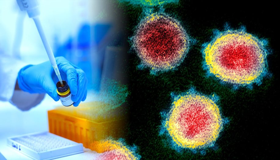 vaccin universel coronavirus essais cliniques prevus cette annee