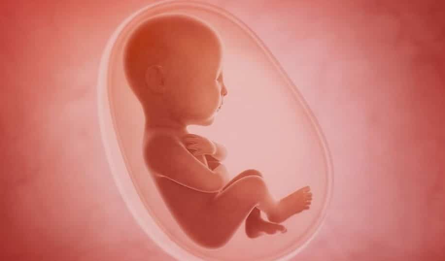 avenement uterus artificiels quelles consequences pour femmes