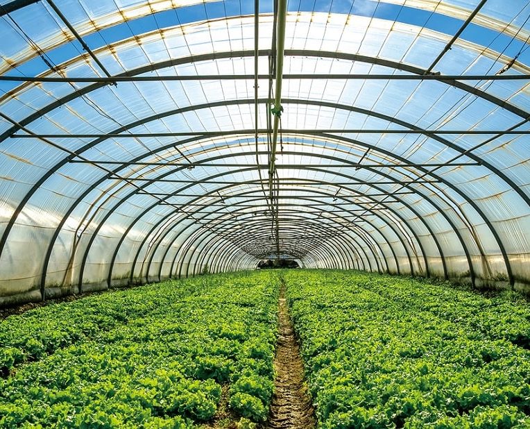 cellules solaires alimenter serres sans freiner croissance plantes