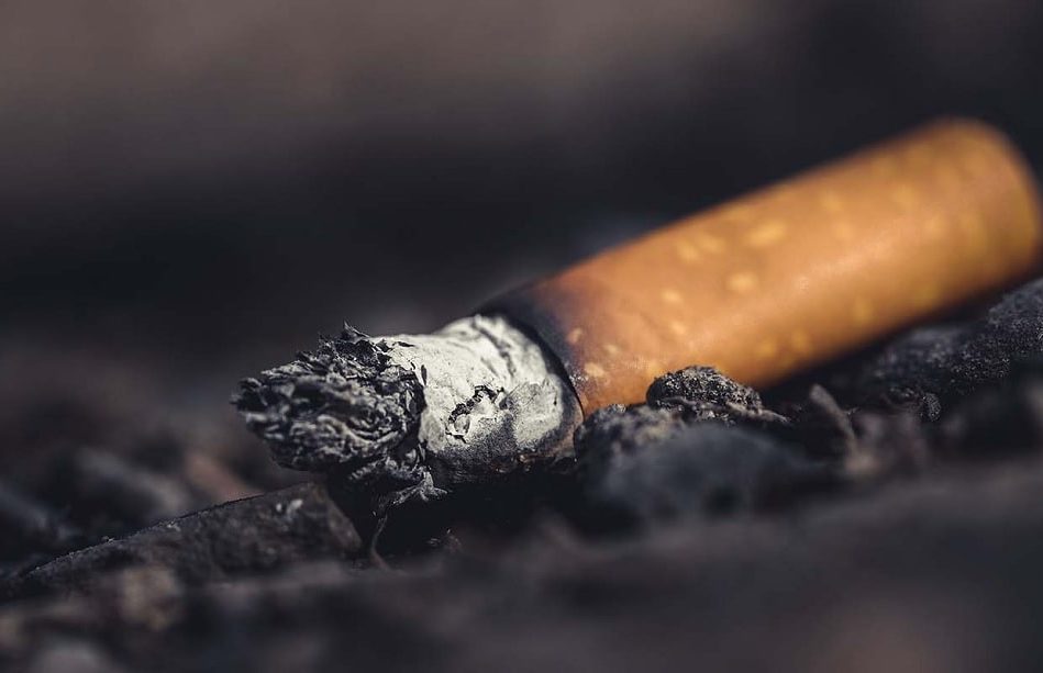 cigarettes pourraient disparaitre dans 10 ans