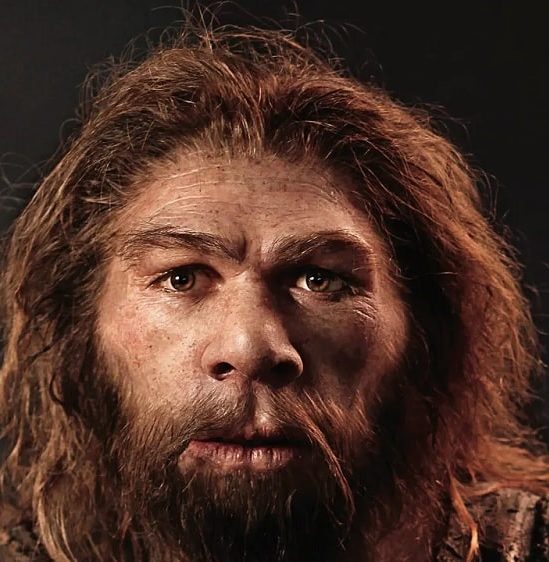 neandertal pouvait produire langage oral complexe similaire humains