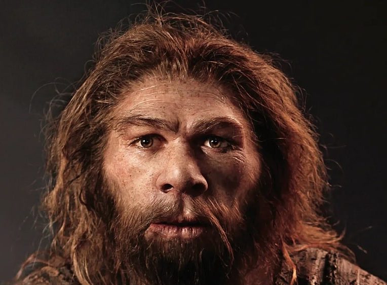 neandertal pouvait produire langage oral complexe similaire humains