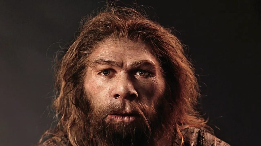 neandertal pouvait produire langage oral complexe similaire humains