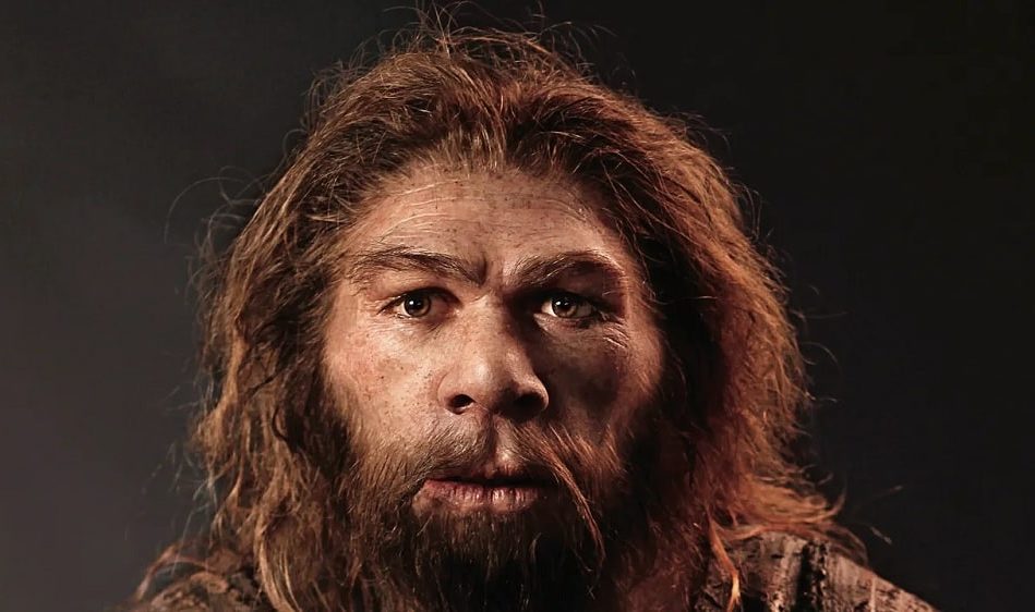 neandertal pouvait produire langage oral complexe similaire humains