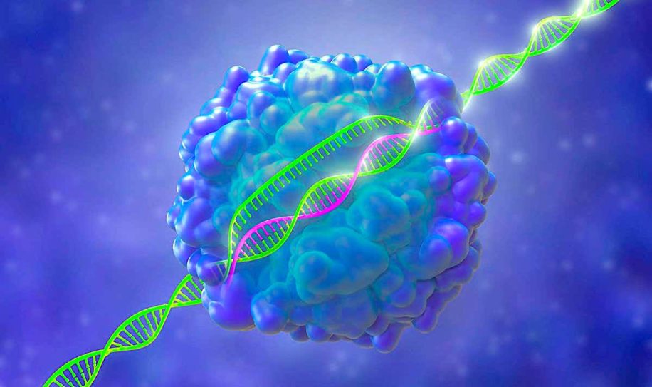 nouvel editeur genes CGBE pour supprimer maladies genetiques