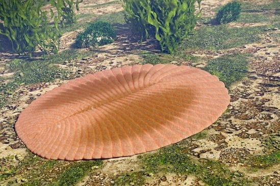 nouvelle etude revele similarite humain avec premieres formes vie terrestres