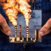 pollution entraine reduction progressive taille penis humain