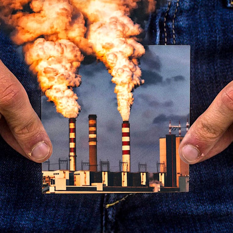 pollution entraine reduction progressive taille penis humain