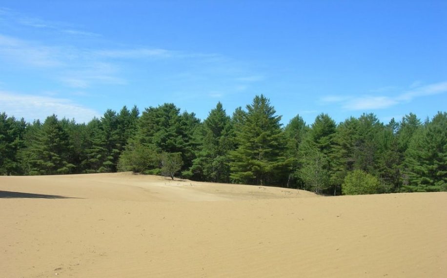 revegetaliser deserts defi ingenierie environnementale planetaire