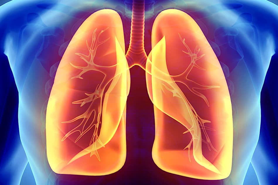 vaccination par inhalation efficaces contre virus et cancer poumons