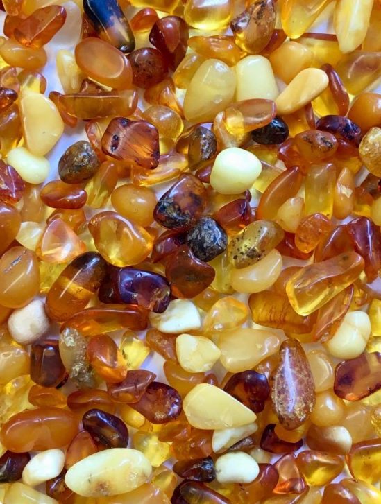 ambre baltique pour lutter contre infections pharmacoresistantes