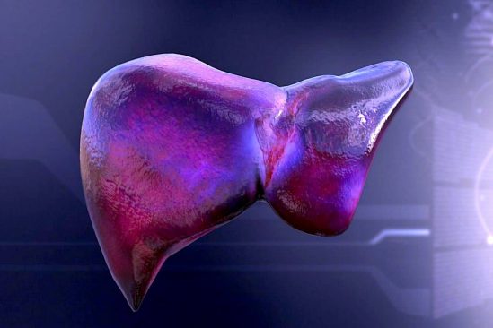 chercheurs mettent au point technique permettant produire foies transplantables en laboratoire