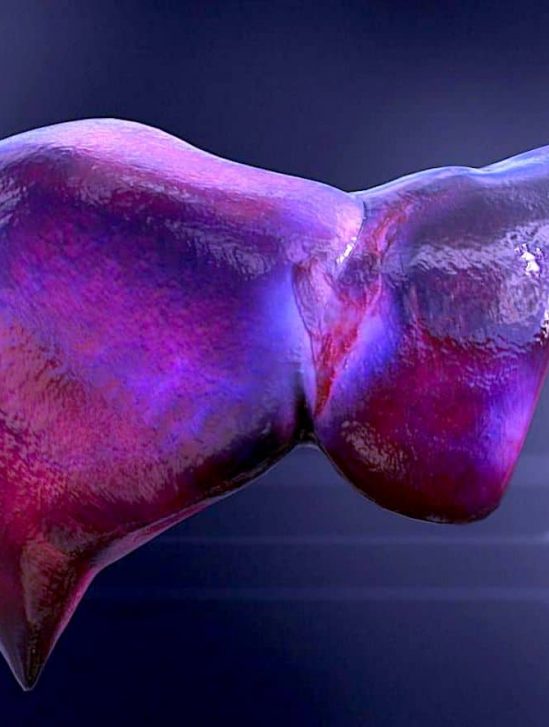 chercheurs mettent au point technique permettant produire foies transplantables en laboratoire