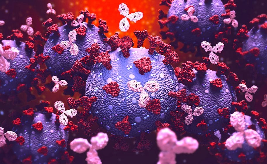 covid-19 vous pourrez bientot savoir si naturellement immunise