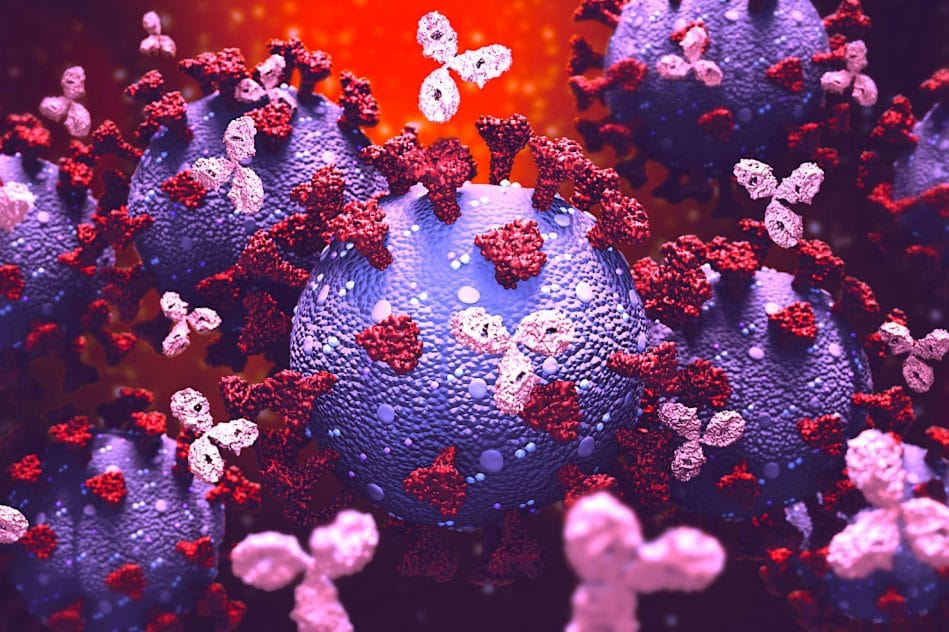 covid-19 vous pourrez bientot savoir si naturellement immunise