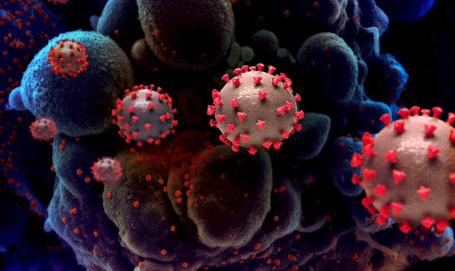medicament emprisonne coronavirus dans cellules