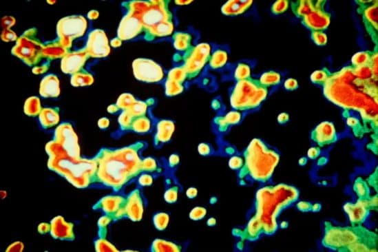 nouveau isotope uranium