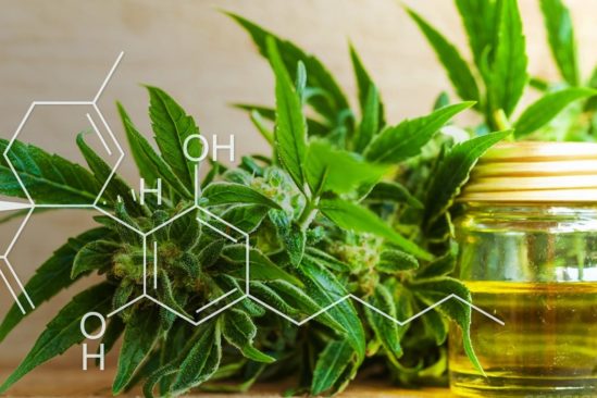 pourquoi cannabis est cher
