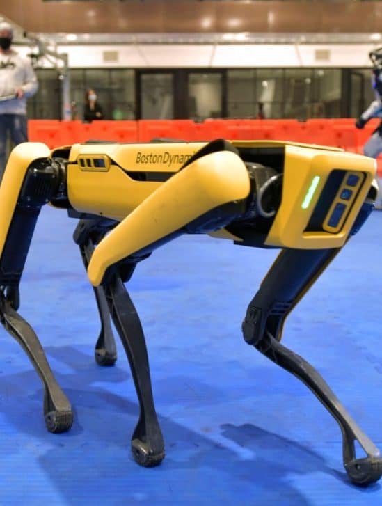retrait chien robot police New York