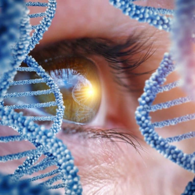 therapie genique montre resultats prometteurs cecite infantile