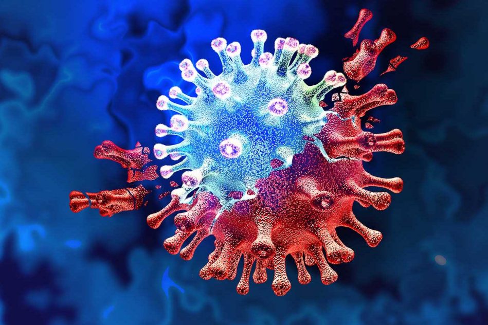 variantes coronavirus jusqu quel point peuvent elles devenir dangereuses
