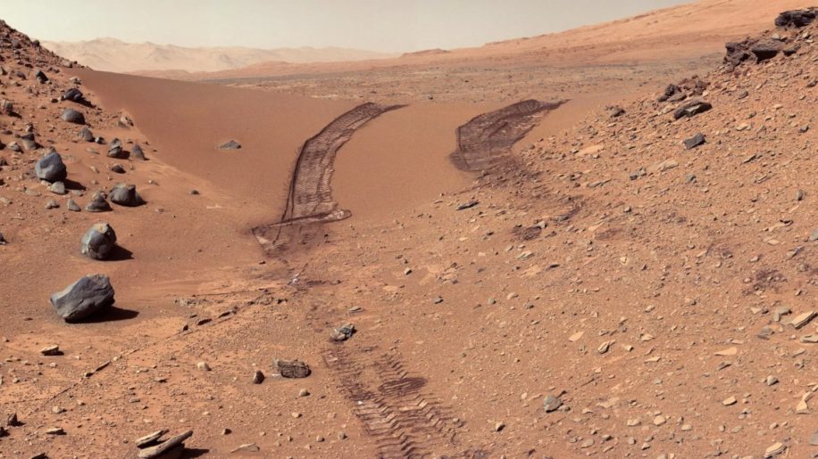 contamination mars microbes NASA