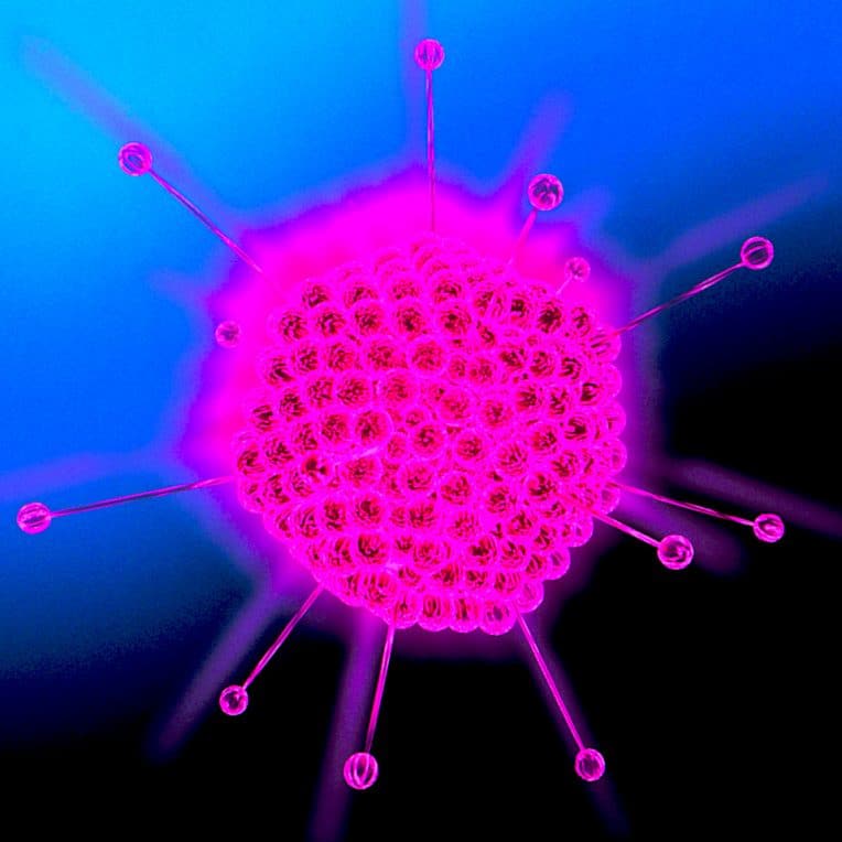 eradiquer tumeurs interieur grace virus modifies
