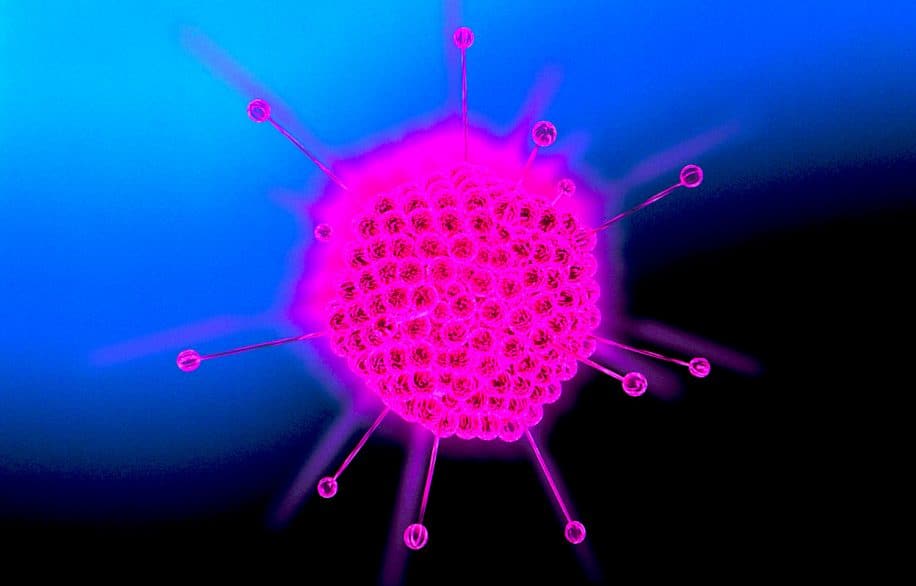 eradiquer tumeurs interieur grace virus modifies