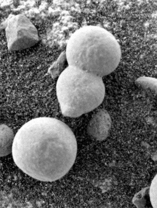 formes champignons mars