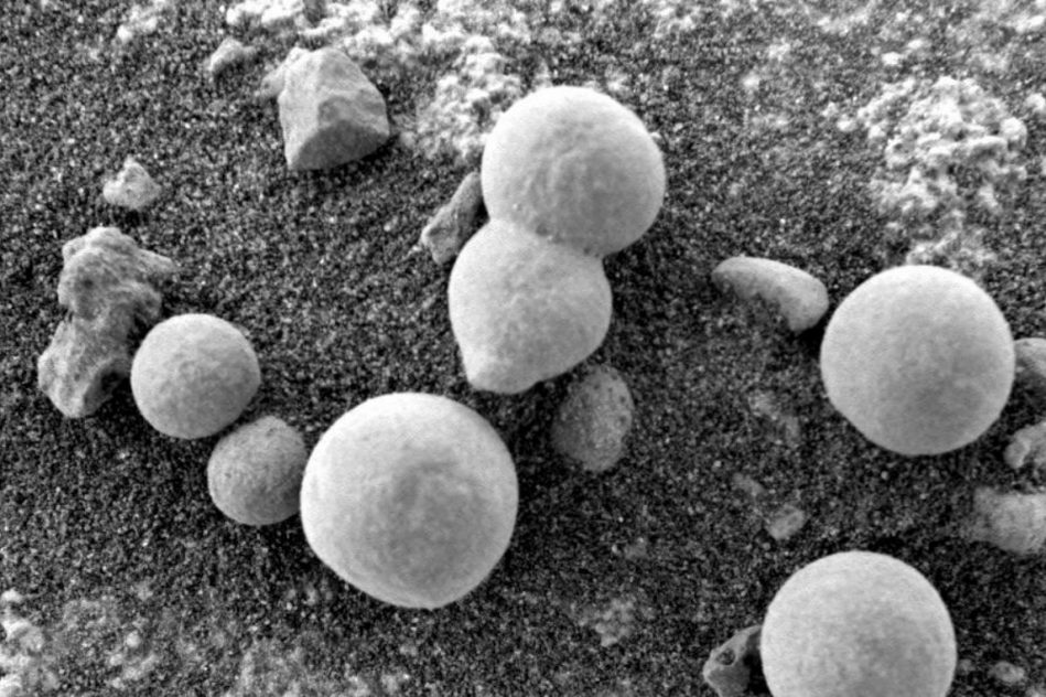 formes champignons mars