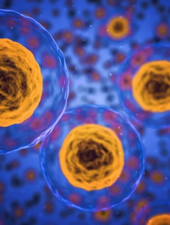 nouvelle biomolécule glycanes ARN