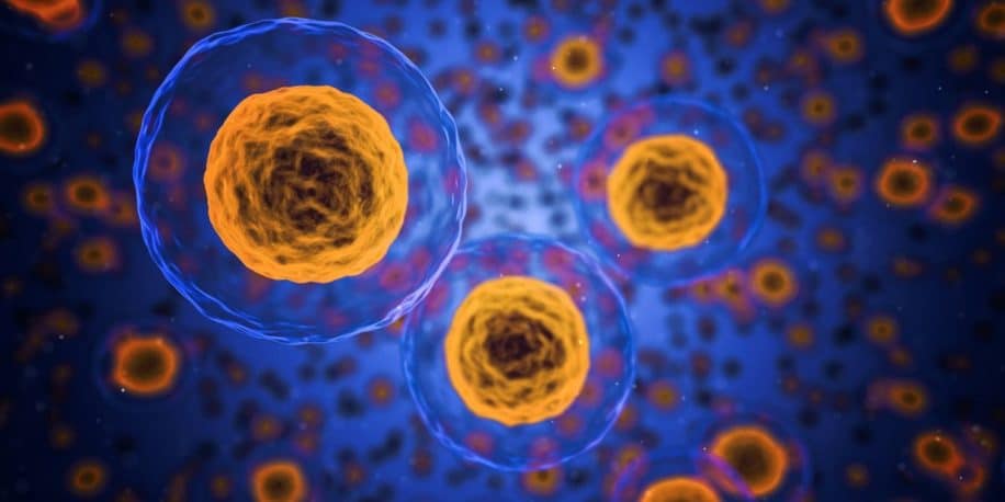 nouvelle biomolécule glycanes ARN