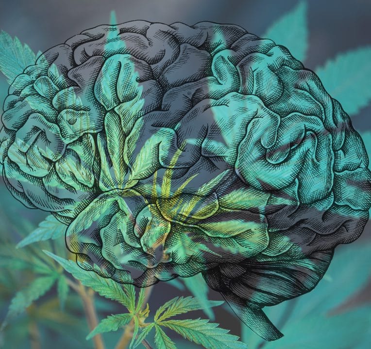 premier essai clinique cannabis traitement migraine en cours