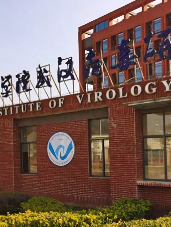 rapport enquête origine COVID-19 Wuhan