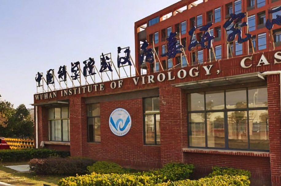 rapport enquête origine COVID-19 Wuhan