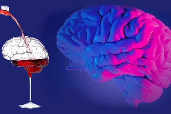 toute consommation alcool nocive pour cerveau selon etude