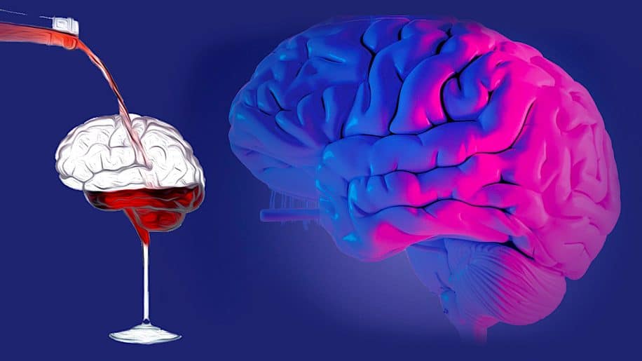 toute consommation alcool nocive pour cerveau selon etude