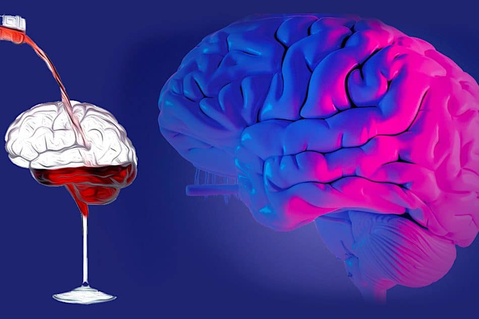 toute consommation alcool nocive pour cerveau selon etude