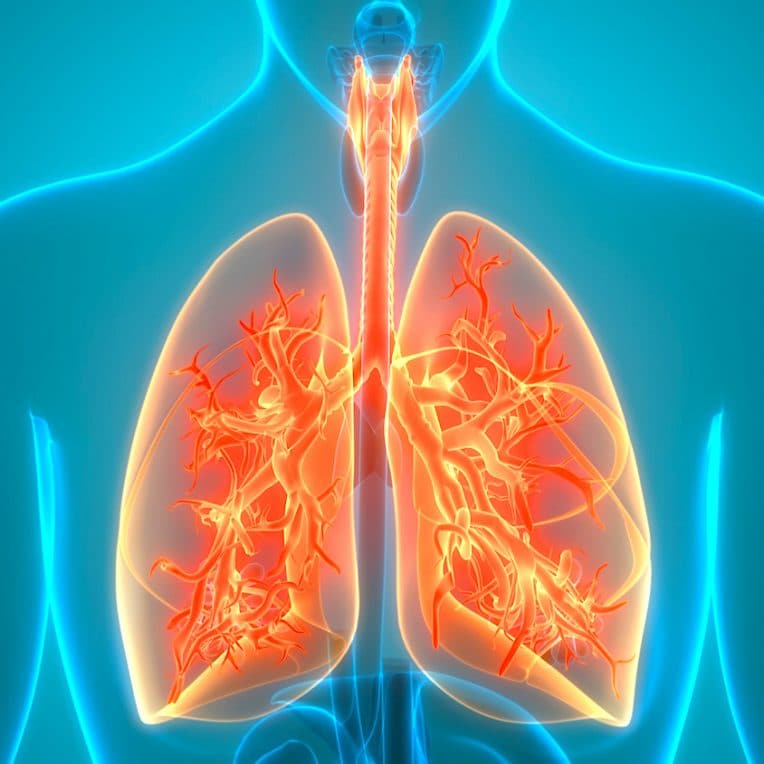 vaccin contre asthme efficace chez animaux